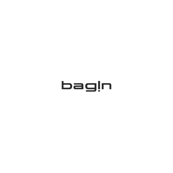 Bagin