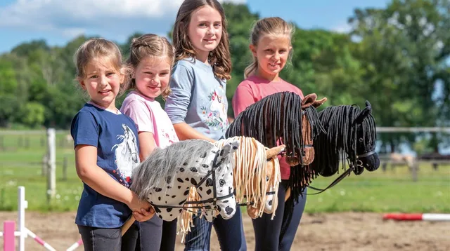 Hobby Horse
