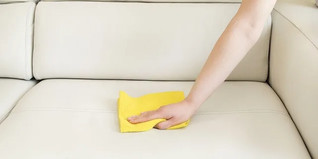 kůže