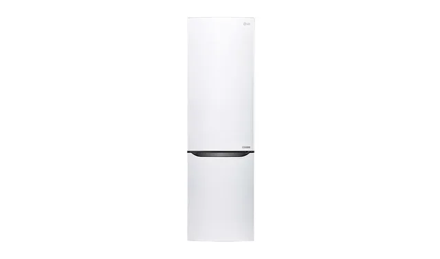 LG GBB60SWGFS