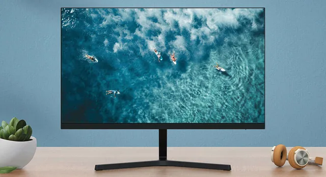 Monitory