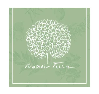 tilia nobilis