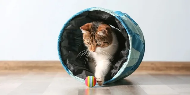 tunel pro kočku