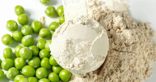 rostlinný protein