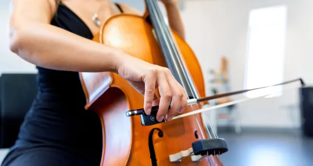 Violoncella