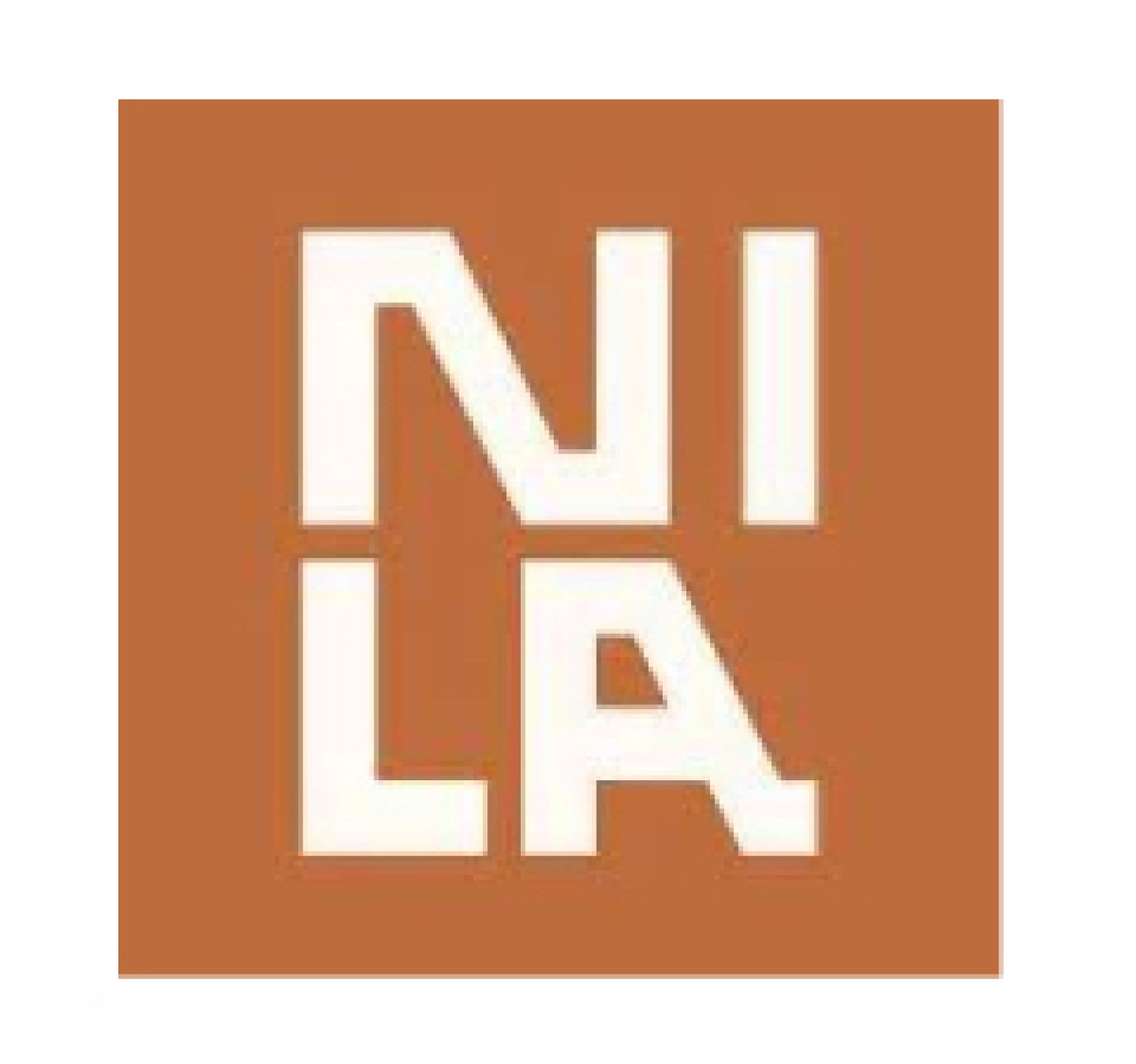 NILA T-SHIRT main image 0