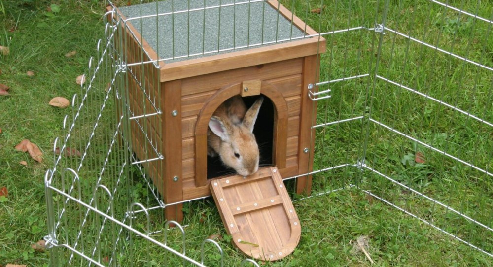 Domečky pro králíky