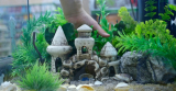 Jak vybrat dekoraci do akvária?