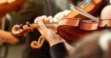 Jak vybrat housle?