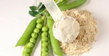 Hrachové proteiny