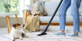 Jak vybrat vysavač na psí chlupy?